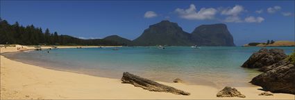 Lagoon Bay - Lord Howe Island - NSW (PBH4 00 11902)